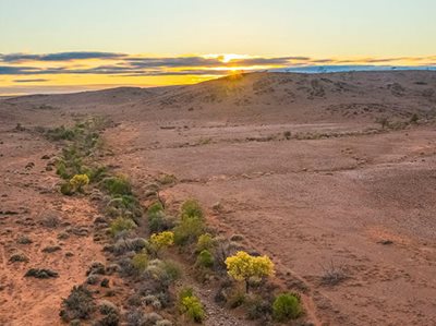 Big boost to national parks in western NSW