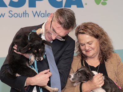 RSPCA NSW adoption and education centre open