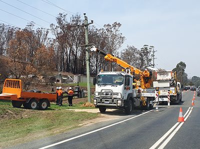 WORLD EXPERT TO HELP NSW BUSHFIRE RECOVERY