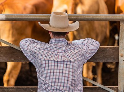 Record biosecurity investment to combat Foot and Mouth and Lumpy Skin Disease