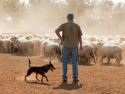 $2.8 billion to future proof regional NSW