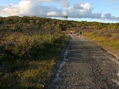 New iconic walks to showcase state’s extraordinary National Parks