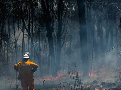 NSW PARLIAMENT TO PAY TRIBUTE TO THOSE IMPACTED BY BUSHFIRES