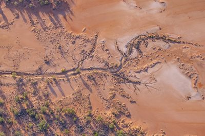 Newest national park a boon for biodiversity