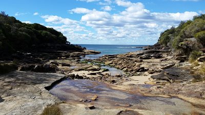 NSW national parks commits to net zero by 2028